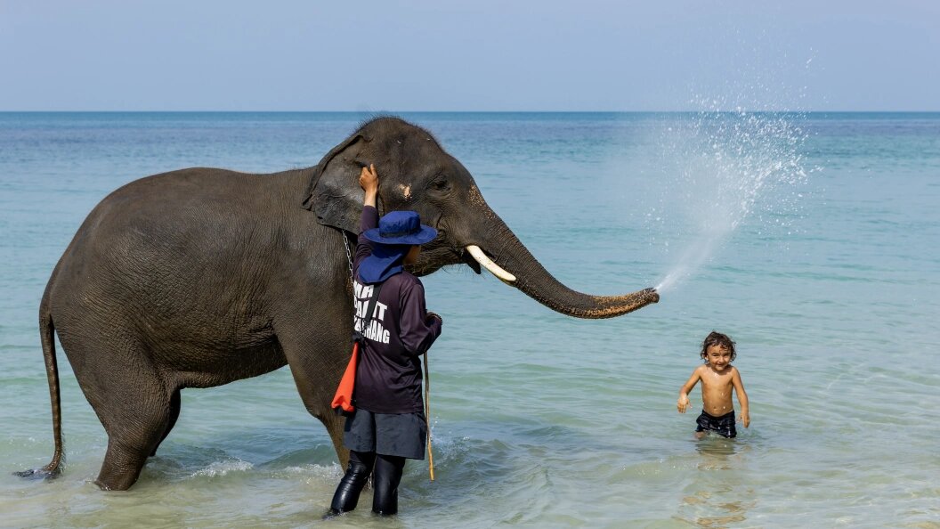    фото: Aleksey Smyshlyaev/Global Look Press