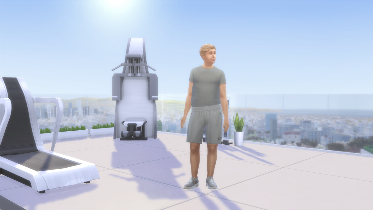 Sims 4. Жизненная цель "Культурист".