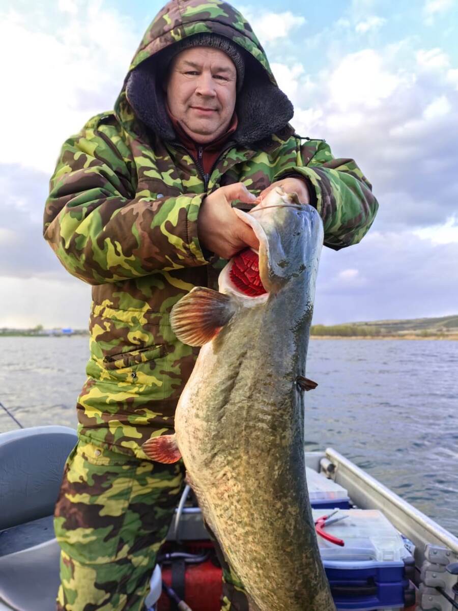 Нежданный трофей