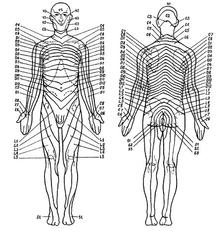 Воздействие на триггерные (или курковые) болевые зоны.