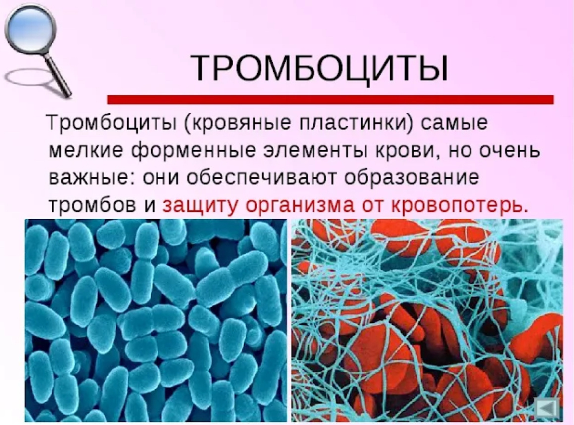 Фотография из интернета 