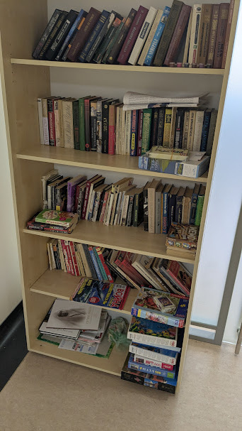 Книжный шкаф в центре мозга. Выбирай и читай! Фото автора