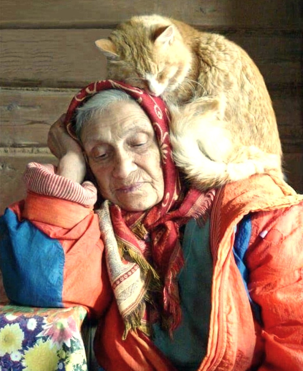 Из свободных источников