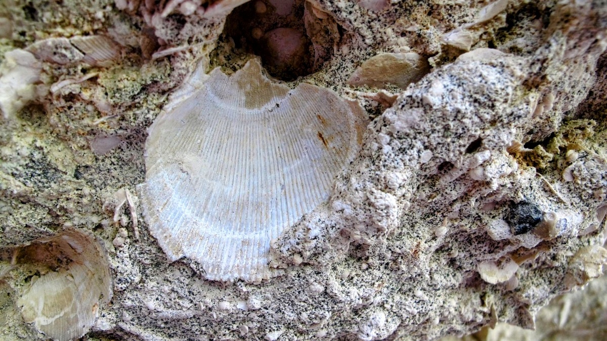 Вот из чего состоят скалы 