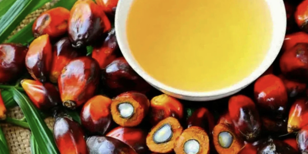 Вся правда о пальмовом масле: откуда его берут и как оно влияет на наш организм