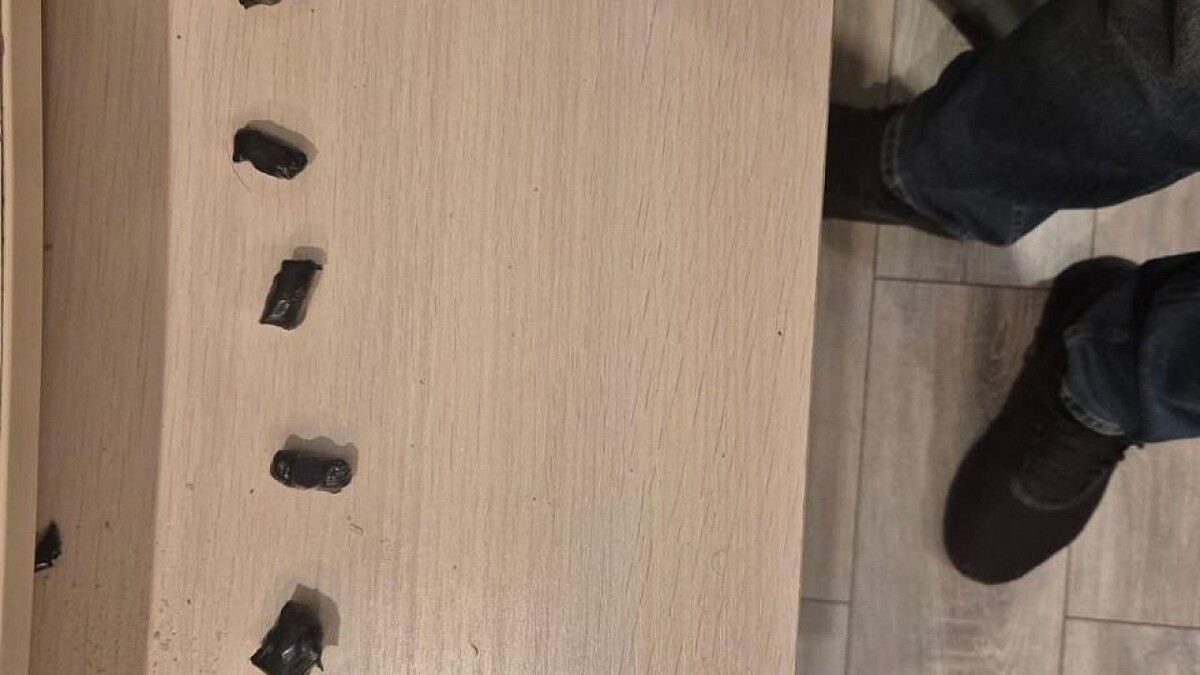    Фото: t.me/propolice_nvrsk