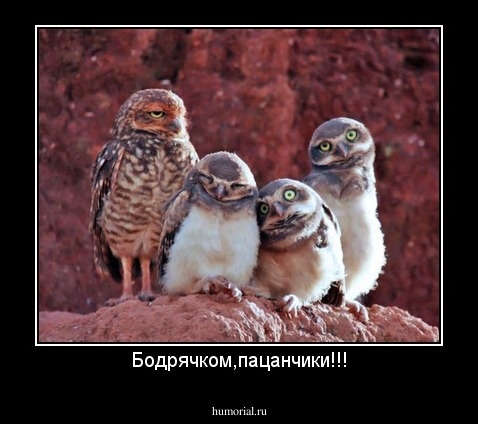 Источник: https://humorial.ru/matherials/show/170?dem=1