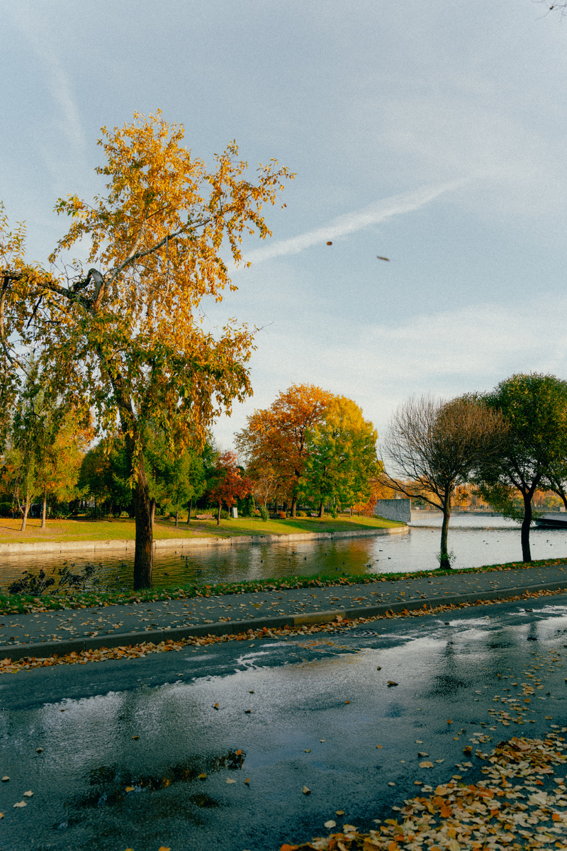 Фото: Тимур Вагапов (https://www.instagram.com/mouskavado/)