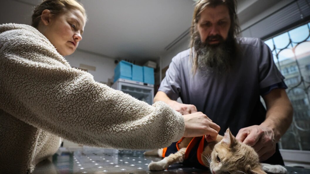    Фото: Belkin Alexey/news.ru/Globallookpress