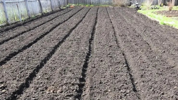 Результат работы граблями с насадками - параллельные борозды для посева любых культур
