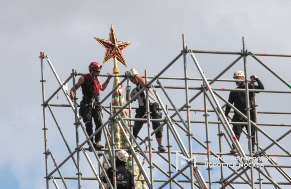День Победы — один из самых важных праздников для России. В этом году страна будет отмечать 80-летие со дня Победы в Великой Отечественной войне. Рассказали все о великом празднике