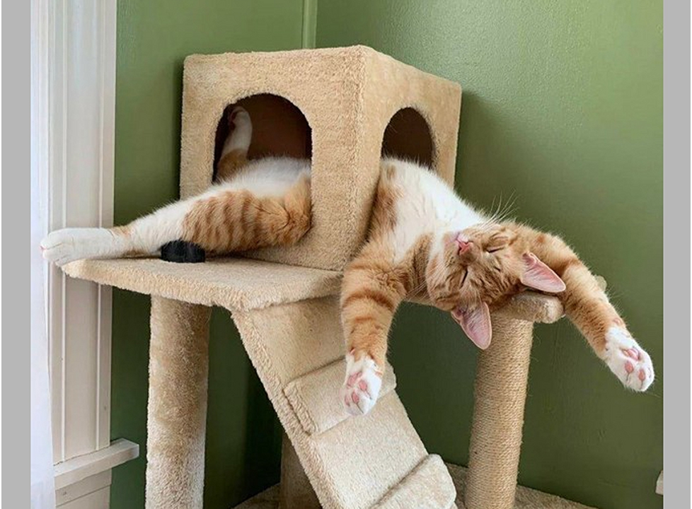 -3