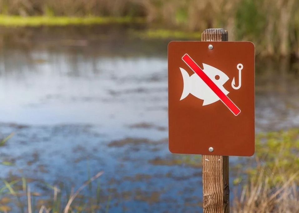 gosinspekciya.gov.by