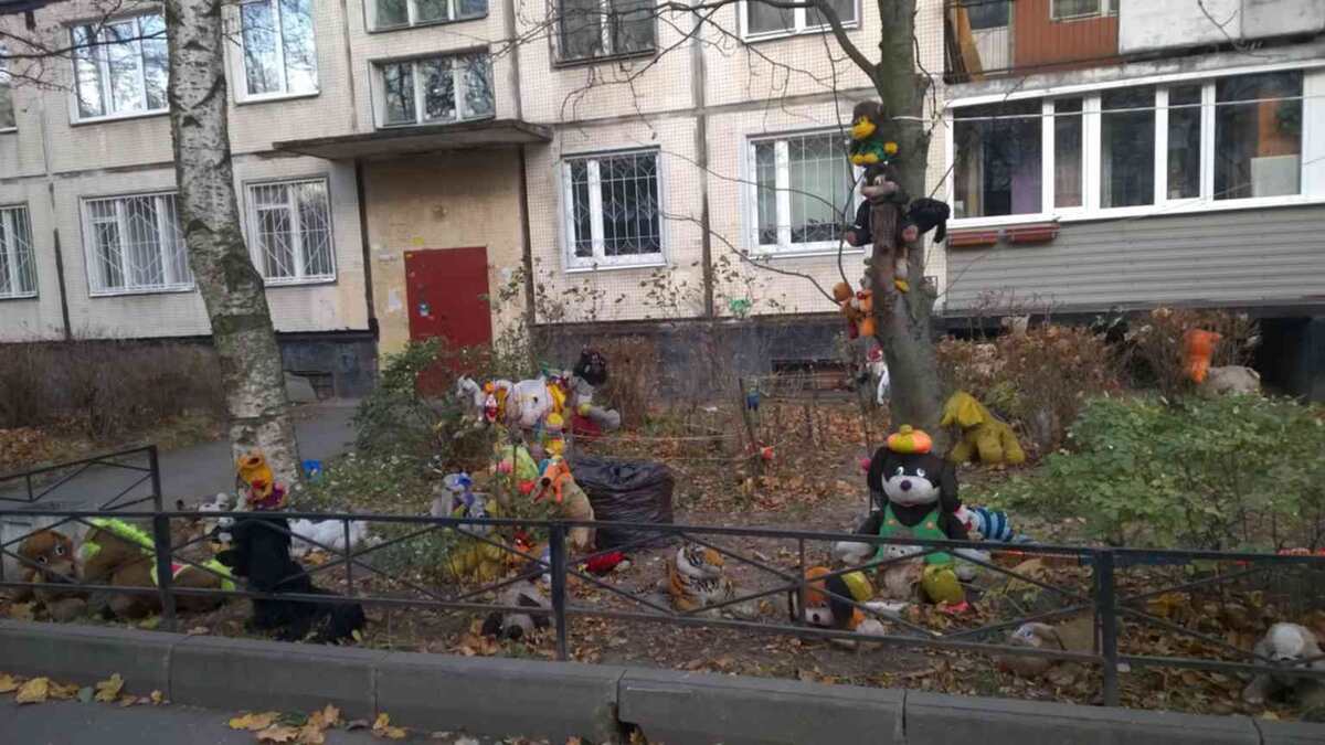 фото интернет