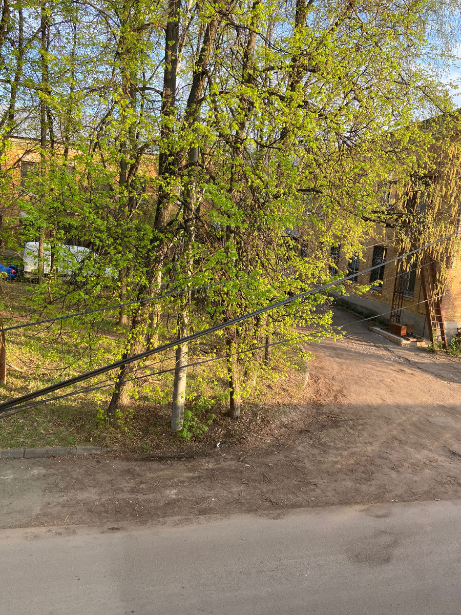 Вид из окна кухни.