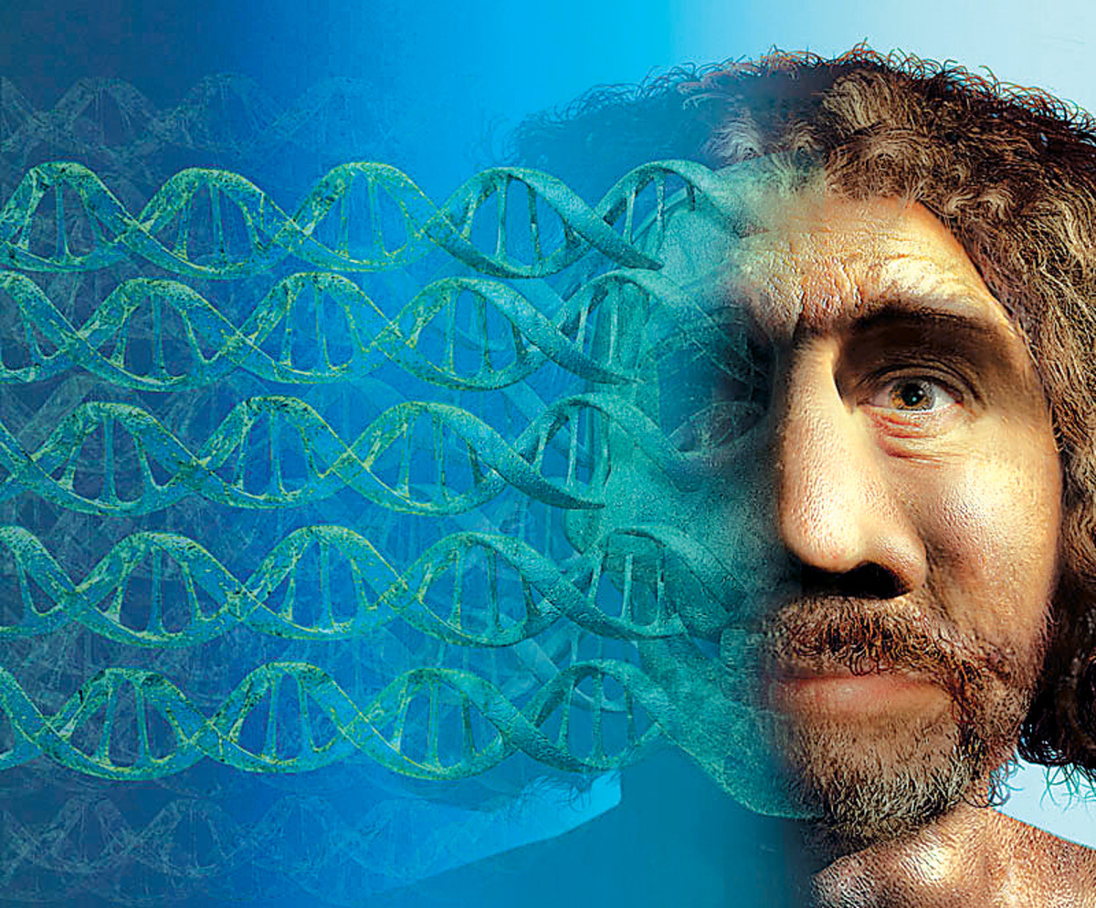    Тайна исчезновения неандертальцев раскрыта благодаря российским ученым