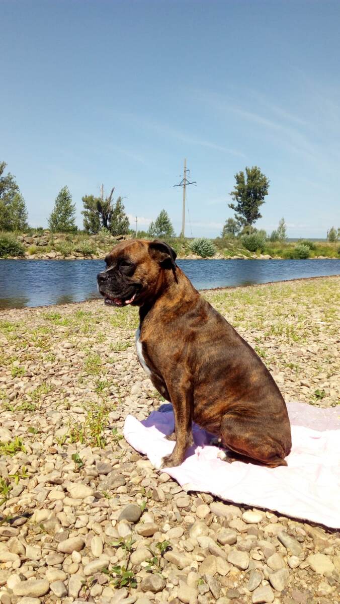 Шанти. Фото из личного архива