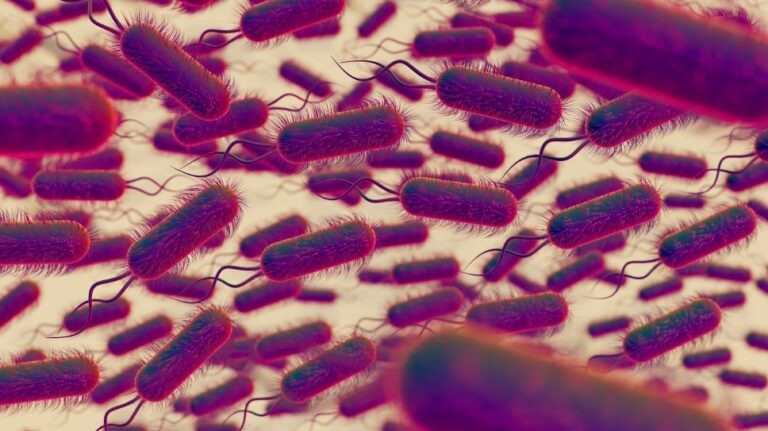    Фото: freepik.com/free-photo Екатерина Шахнина