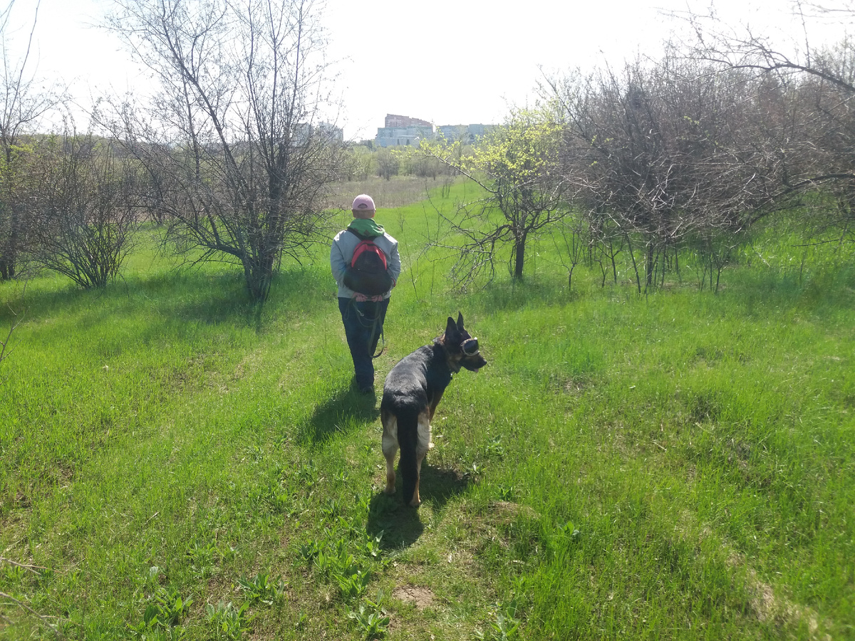 Фото автора