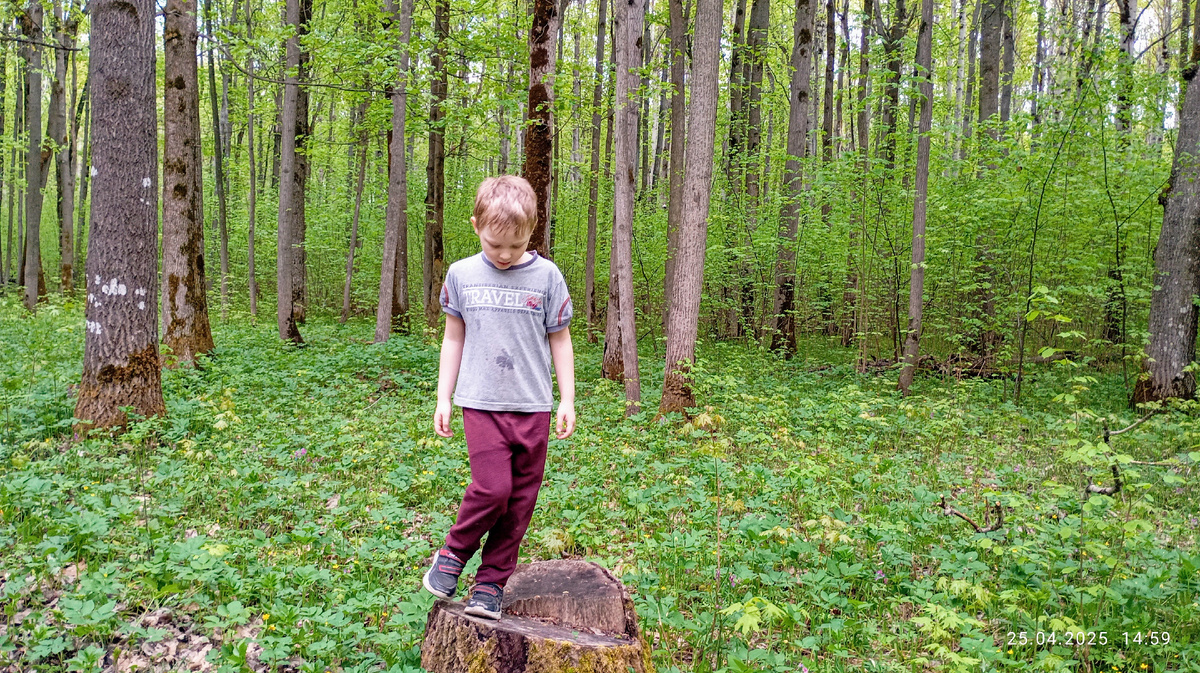 Сынишка в парке. Лесок)))