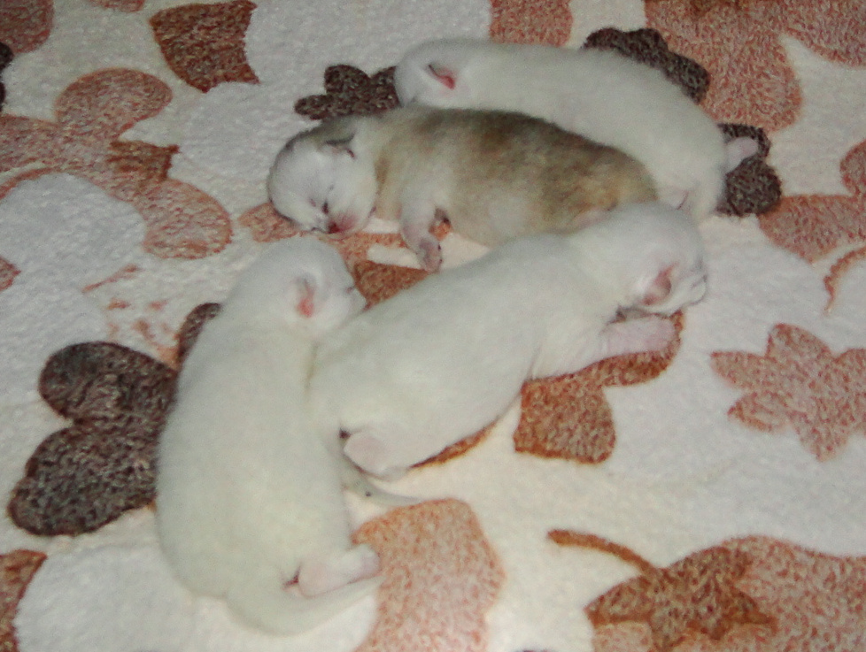 Фото из архива