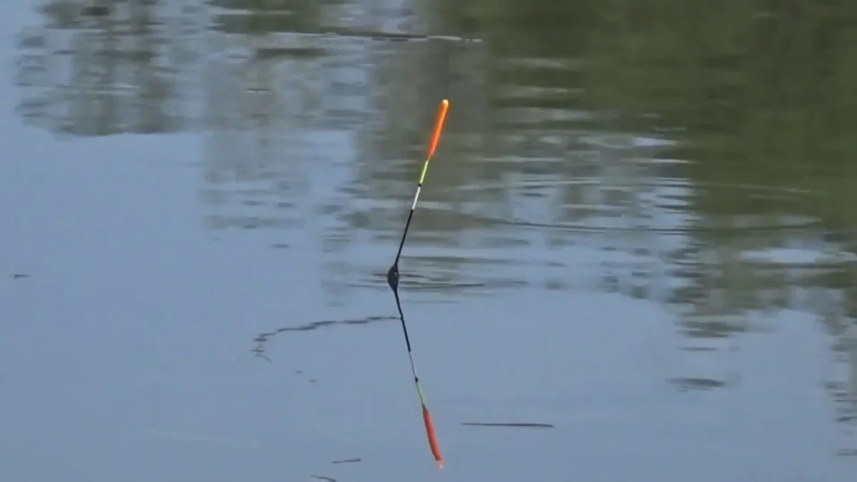 Рыбалка на поплавочную удочку 