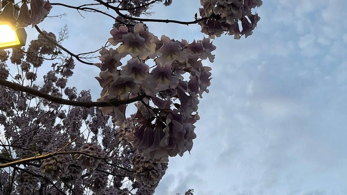    Фото: телеканал «Краснодар»