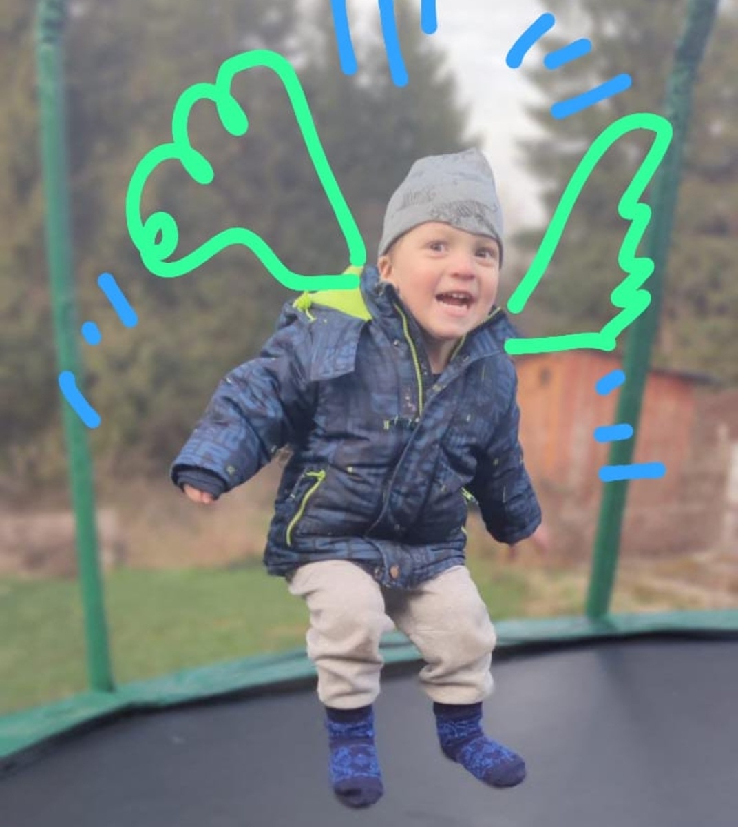 Мишутка мухожук