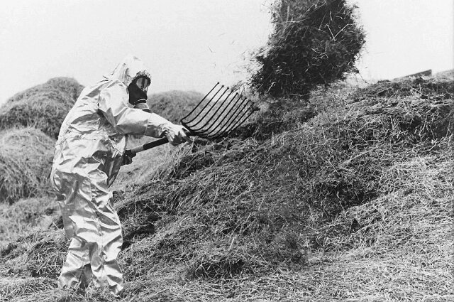    Фото: Сиб.фм/ Фото: AP Photo, Getty Images, AFP PHOTO