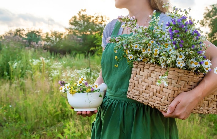    Shutterstock/FOTODOM