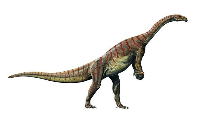 Платеозавр (Plateosaurus). Крупнейший из известных динозавров триасового периода (251,9 - 201,3 млн лет назад). Его длина достигала 6—12 м, масса — до 4 тонн.