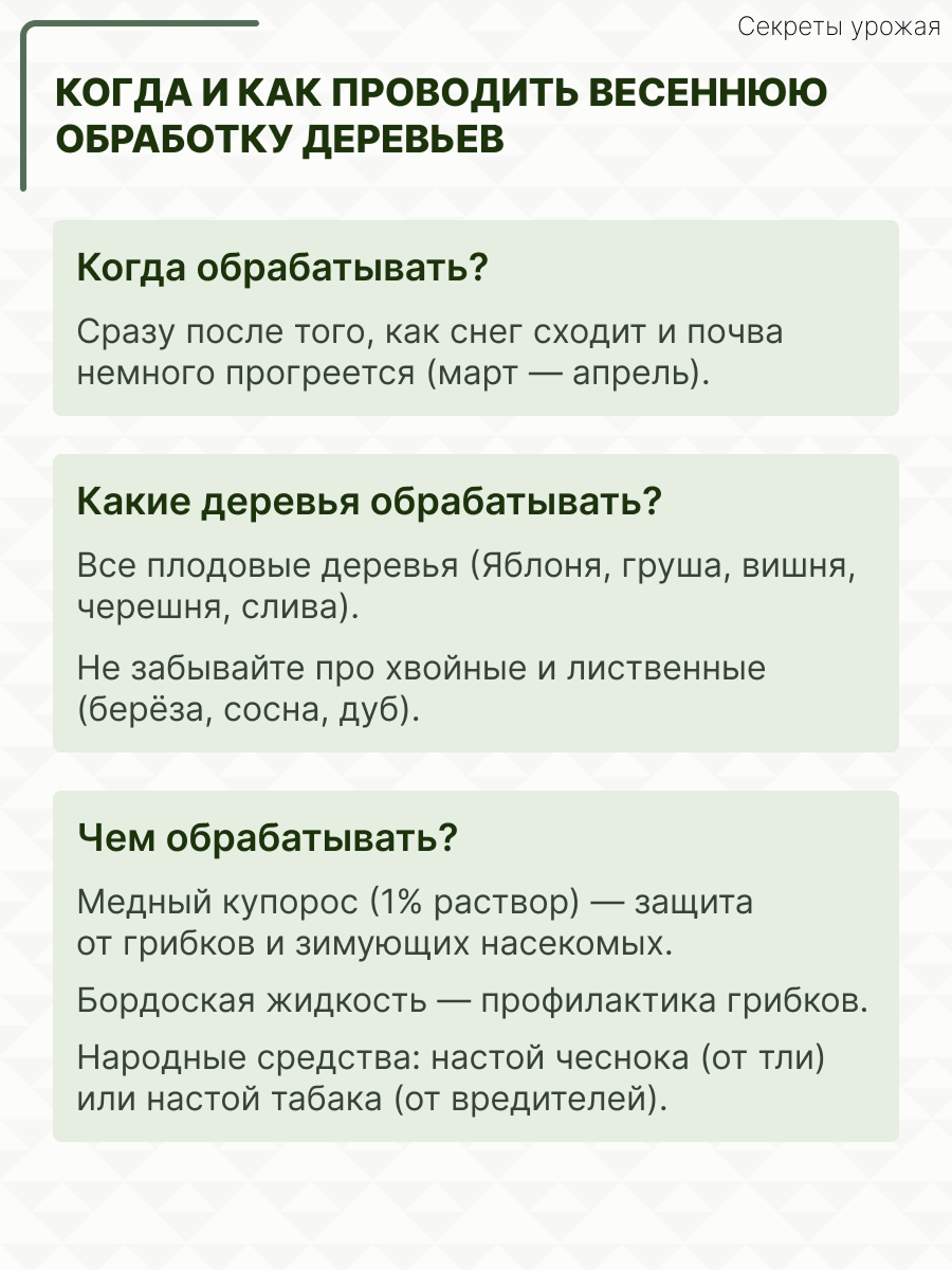 Когда и как проводить обработку деревьев