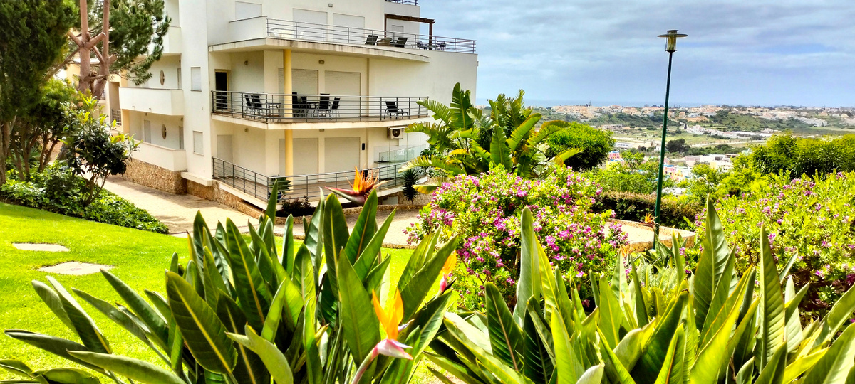 Какая красота у нас в Албуфейре 