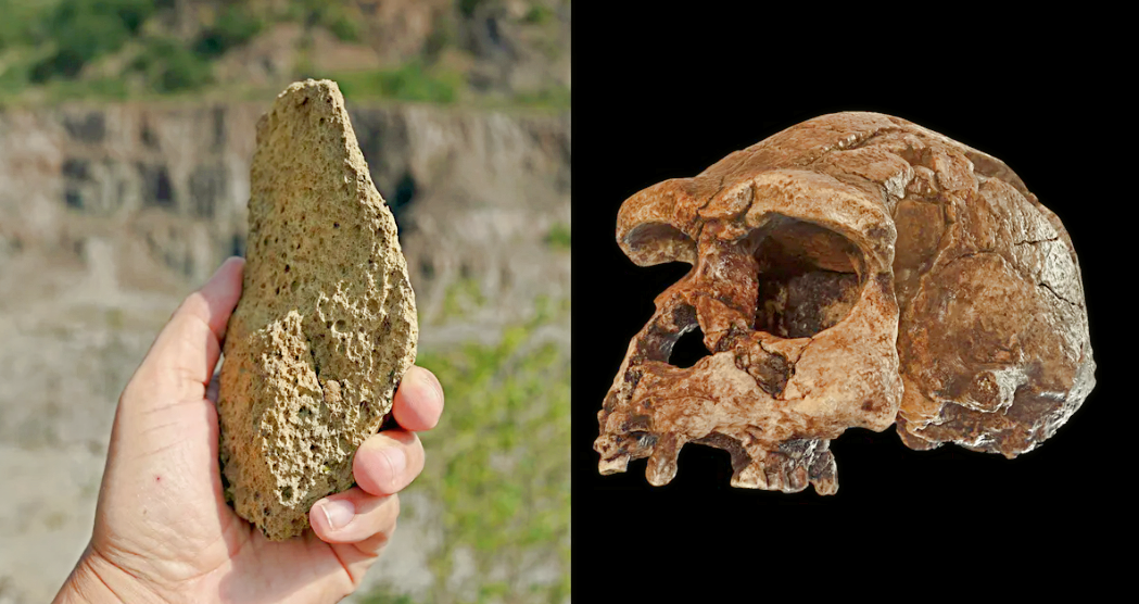 Эти каменные орудия создали не современные люди - вероятнее всего, их изготовил Homo erectus.