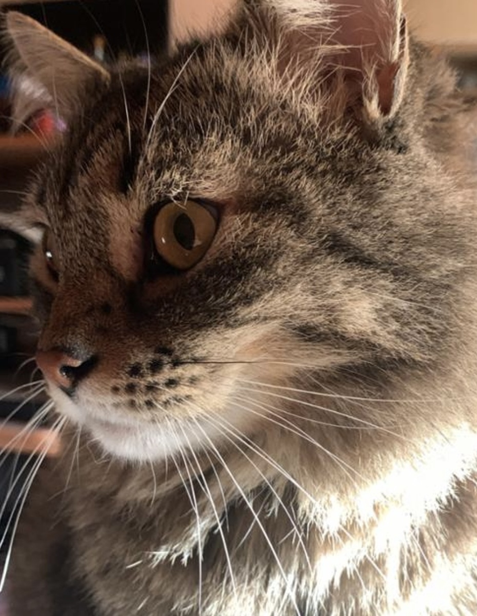 Как-то он не очень рад 