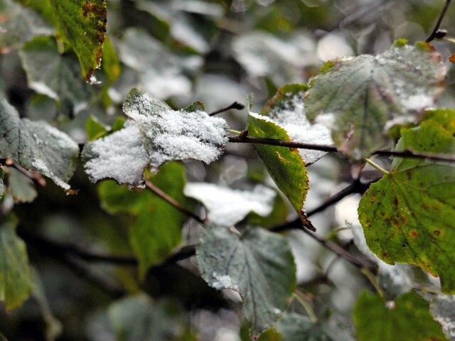    Фото: Москва 24/Игорь Иванко