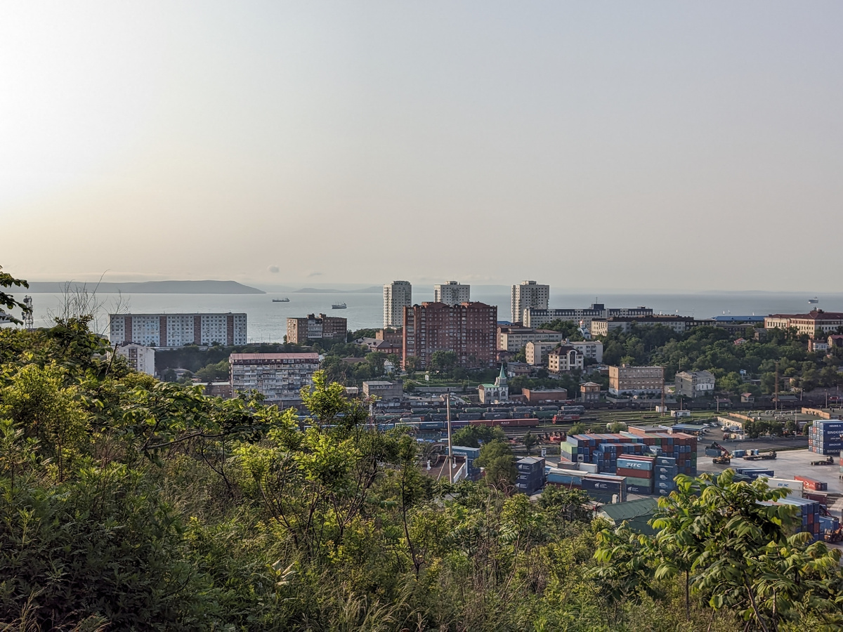 На северо-западном склоне сопки Крестовой больше всего невысоких деревьев ореха маньчжурского. На фото вид сопки в июне. 