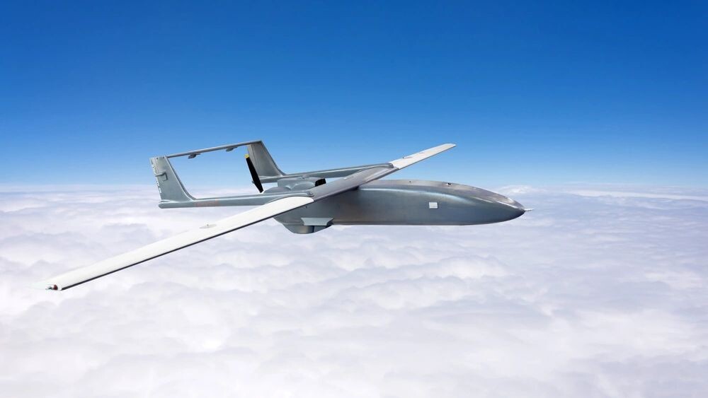    Фото: aapsky/Shutterstock/Fotodom