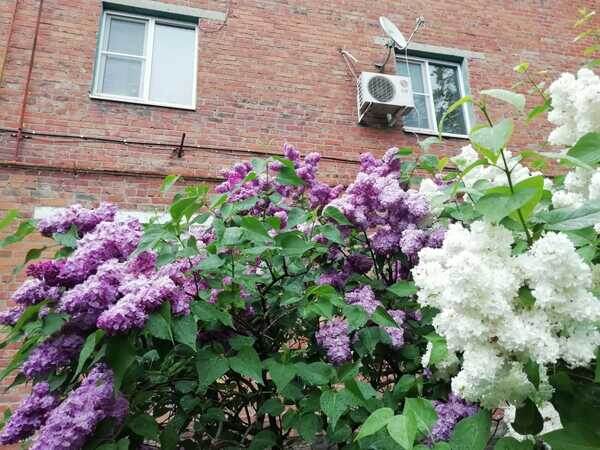    Фото Елены Врублевской Ольга Дмитриенко