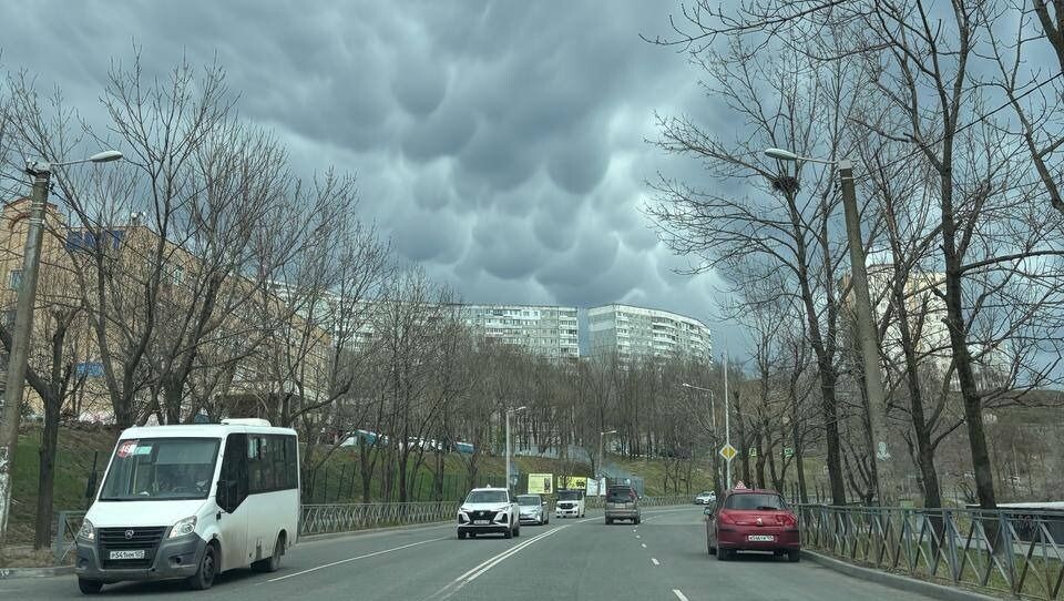     Источник: primgidromet