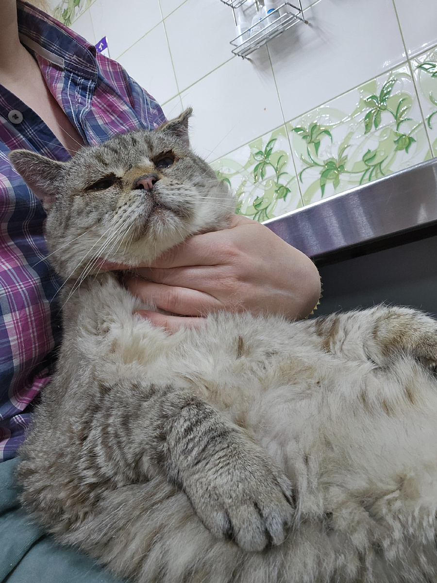 Фото автора. Мордатый дед МОТЯ.