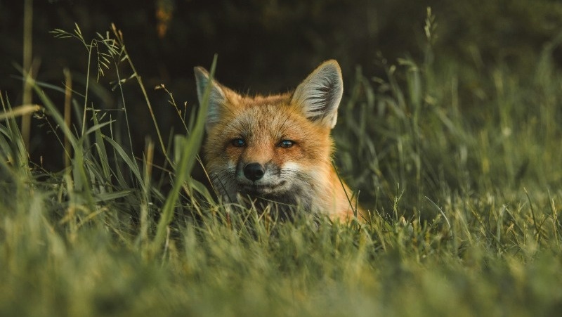 Фото: @outsighted / unsplash.com