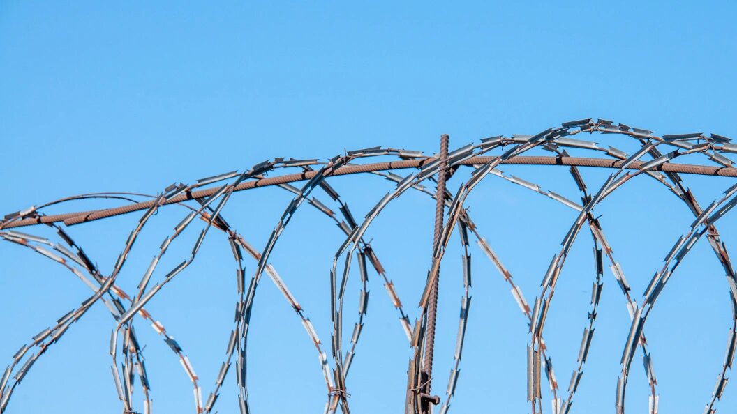    Фото: Svetlana Vozmilova/Globallookpress