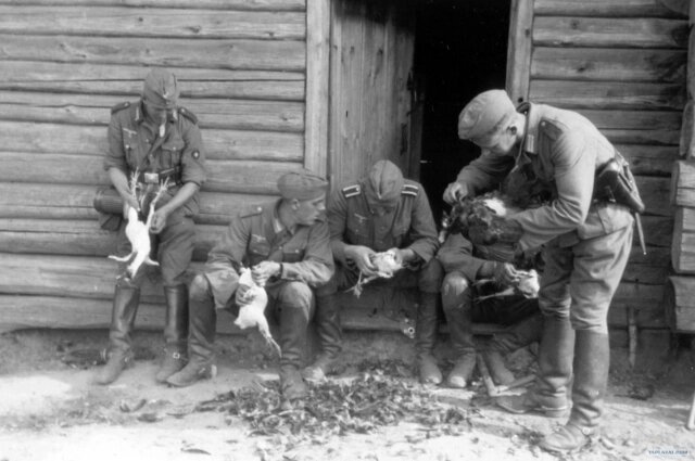    Сражение с курами увенчалось победой. Фото: Из архива/ Госархив РФ