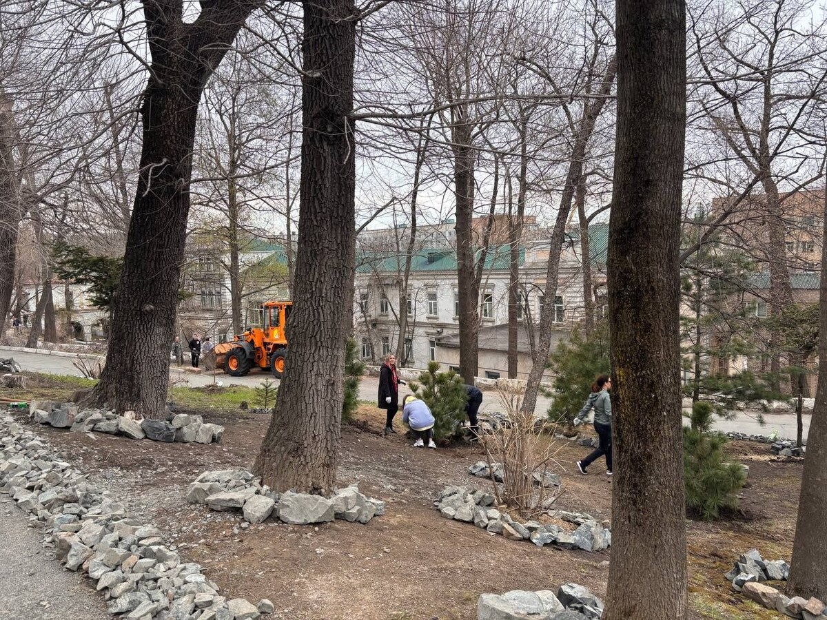     Источник: adm_vl