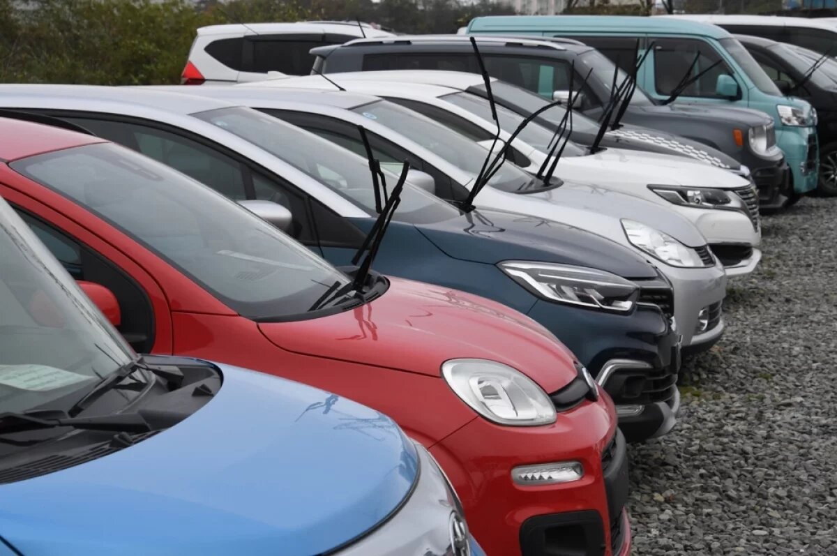    Берите двухлеток.