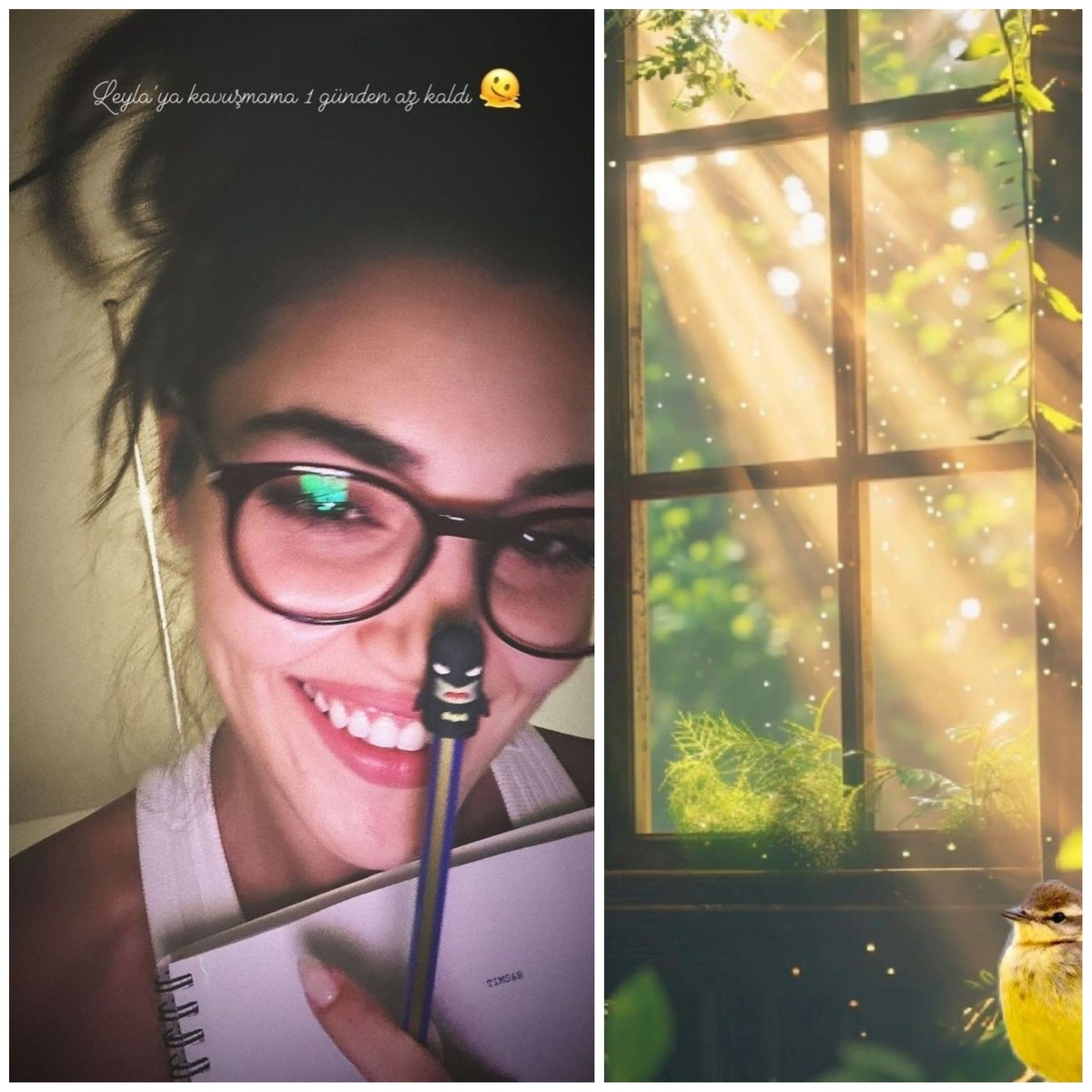 Коллаж Сериального психолога в Дзен и фото из открытых источников 