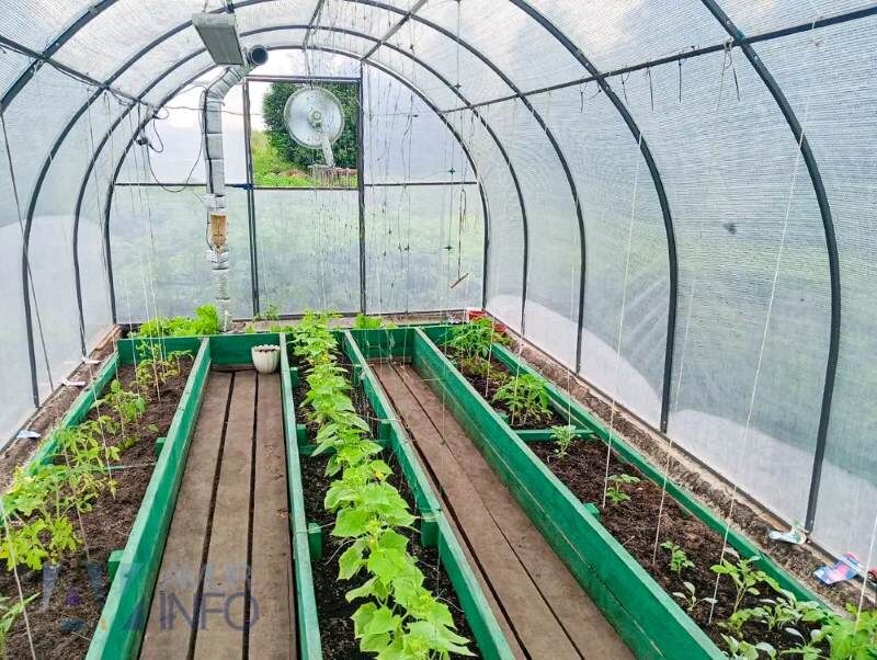    Фото: Амур.инфо