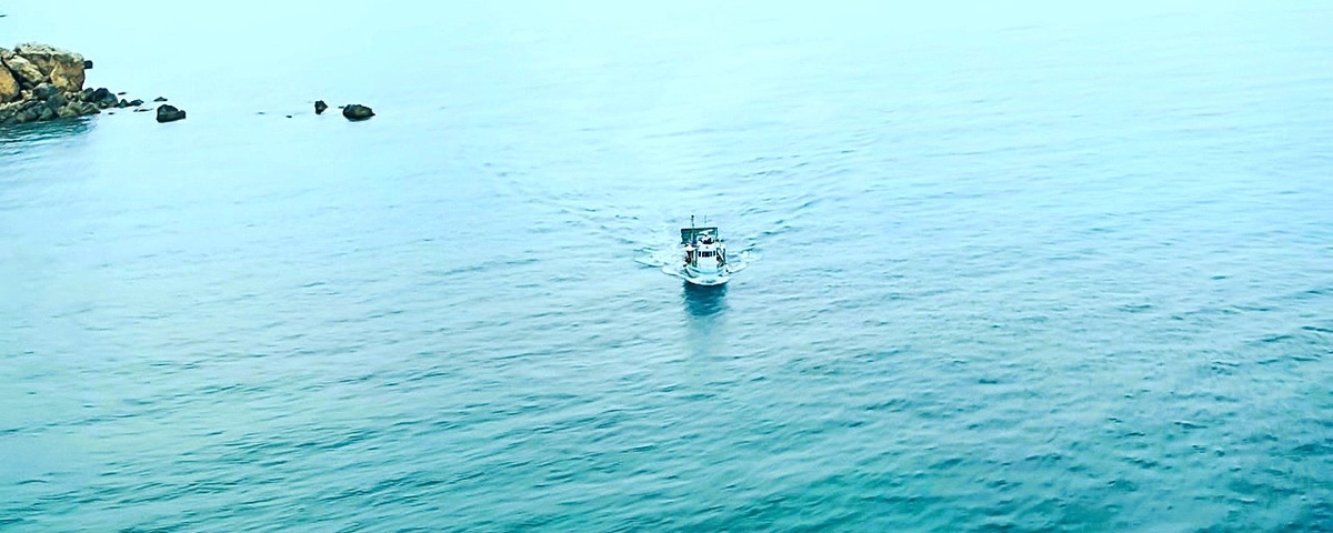 мир красивый и яркий 