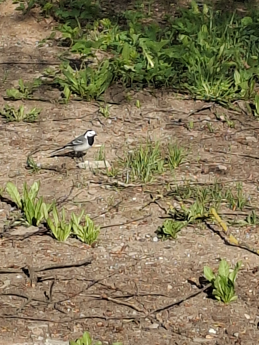 Фото автора канала